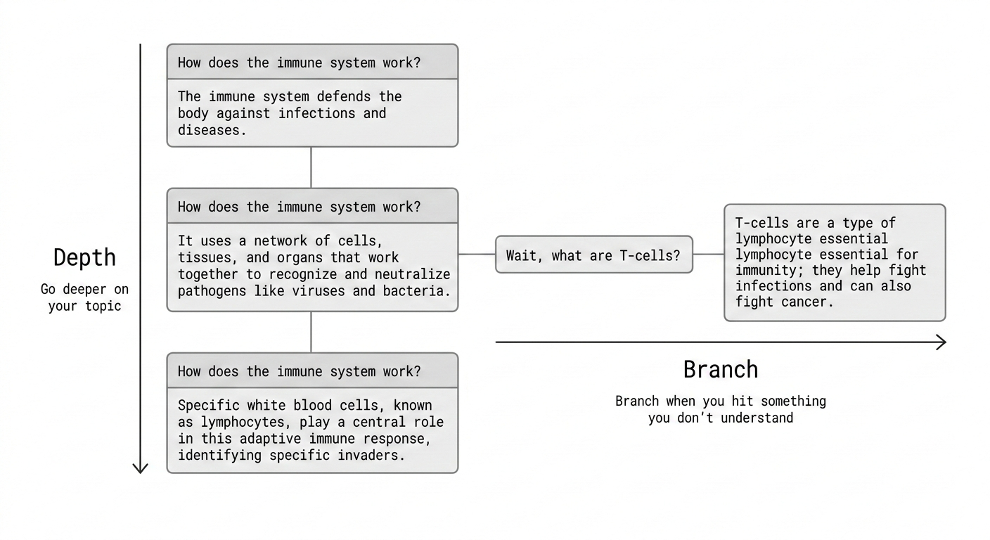 LearnFork branching diagram — vertical depth on how the immune system works, horizontal branches to explore unfamiliar concepts like T-cells